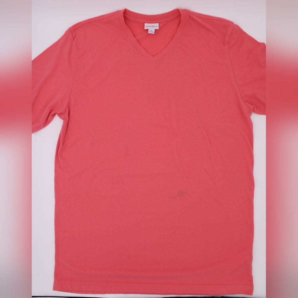 Womens Pink Vneck Tee (L)